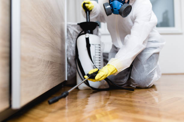 Best Residential Pest Control  in Emerson, GA