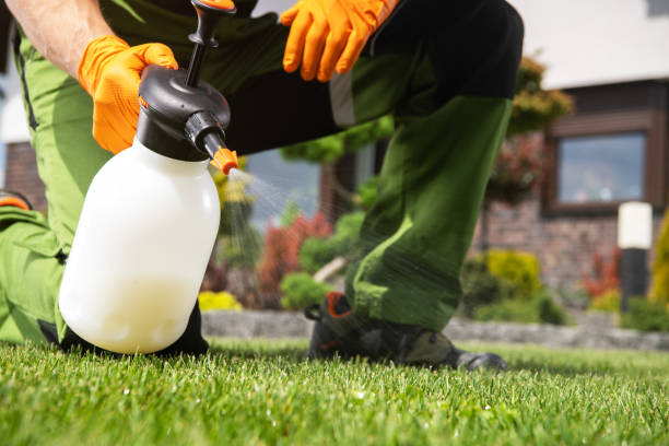 Best Flea Control Services  in Emerson, GA