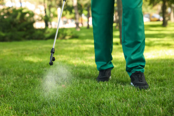 Best Commercial Pest Control Services  in Emerson, GA