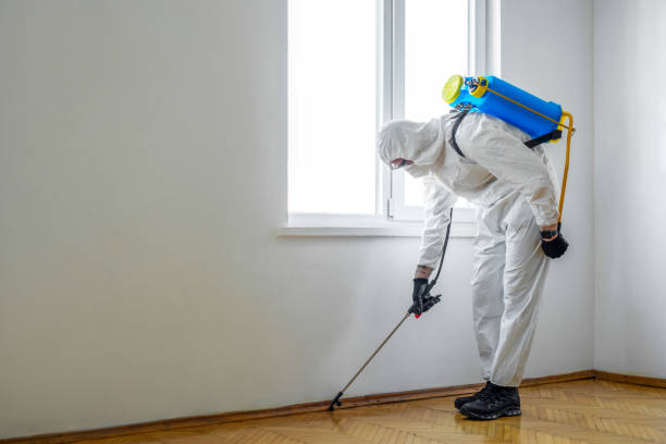 Best Residential Pest Control  in Emerson, GA