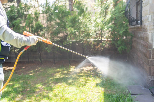 Best Bed Bug Extermination  in Emerson, GA