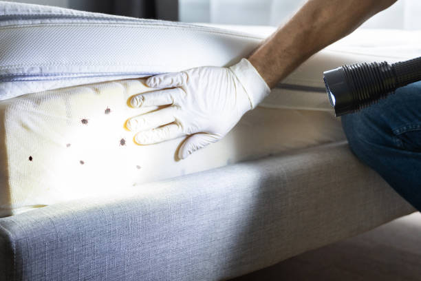 Best Best Pest Control Companies  in Emerson, GA