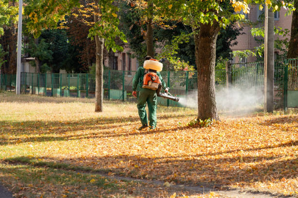 Trusted Emerson, GA Pest Control Experts