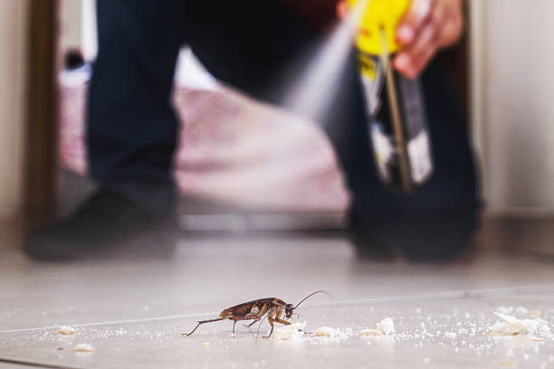 Best Exterminator Services  in Emerson, GA